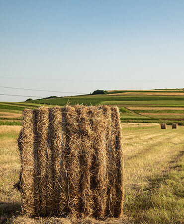 Best Way to Do Eco and Agriculture